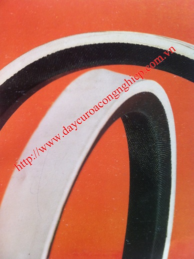 Dây curoa máy cắt 2 đầu Ngành Gỗ [2]